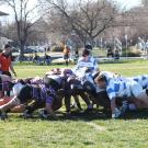 Image of two rugby teams in a scrum on a UC Davis playing field.